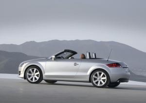Audi TT Roadster 2007 года  (WW)